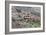 Mountain Village of Lazania in Cyprus-mpalis-Framed Photographic Print