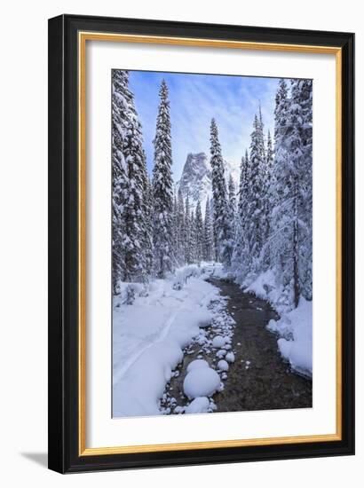 Mountain Wonderland-Michael Blanchette Photography-Framed Premium Giclee Print