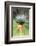 Mountain Yucca-Douglas Taylor-Framed Photographic Print