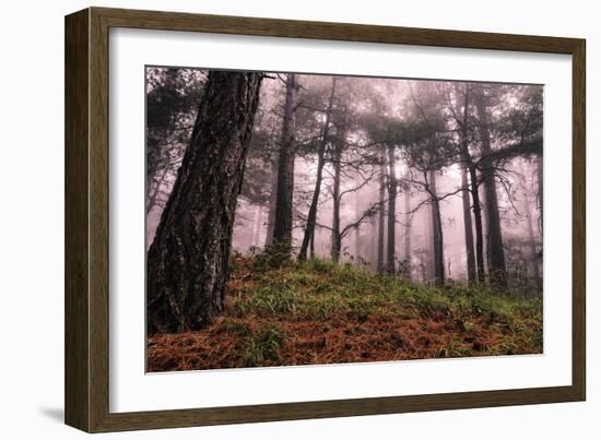 Mountain-Giuseppe Torre-Framed Photographic Print