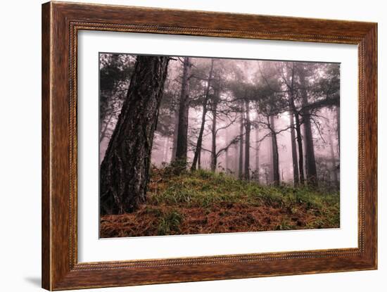 Mountain-Giuseppe Torre-Framed Photographic Print