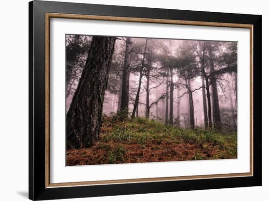 Mountain-Giuseppe Torre-Framed Photographic Print