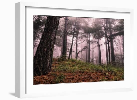 Mountain-Giuseppe Torre-Framed Photographic Print