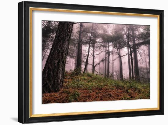 Mountain-Giuseppe Torre-Framed Photographic Print