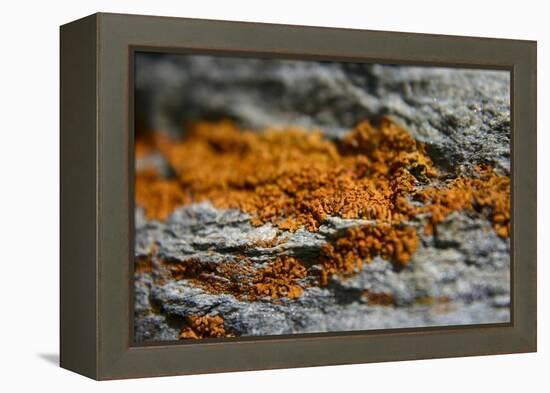 Mountain-K.B. White-Framed Premier Image Canvas