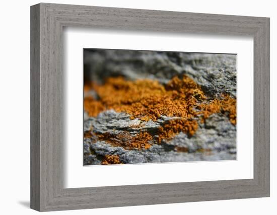 Mountain-K.B. White-Framed Photographic Print