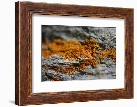 Mountain-K.B. White-Framed Photographic Print