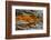 Mountain-K.B. White-Framed Photographic Print