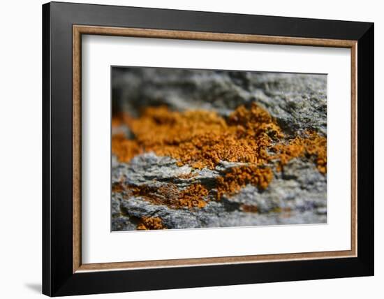 Mountain-K.B. White-Framed Photographic Print