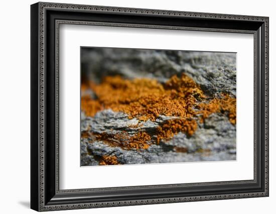 Mountain-K.B. White-Framed Photographic Print