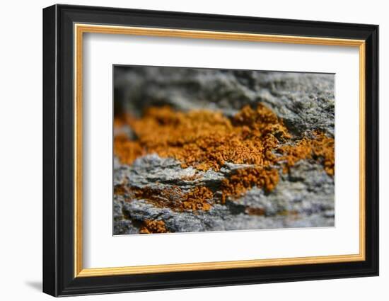 Mountain-K.B. White-Framed Photographic Print