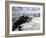 Mountaineers and Climbers, Mont Blanc Range, French Alps, France, Europe-Richardson Peter-Framed Photographic Print