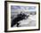 Mountaineers and Climbers, Mont Blanc Range, French Alps, France, Europe-Richardson Peter-Framed Photographic Print