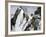 Mountaineers on a Couloir in the Alps, Circa 1890-null-Framed Giclee Print