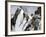 Mountaineers on a Couloir in the Alps, Circa 1890-null-Framed Giclee Print