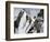 Mountaineers on a Couloir in the Alps, Circa 1890-null-Framed Giclee Print