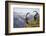 Mountains, Alpine Ibexes, Capra Ibex Ibex, View from Behind, Series-Ronald Wittek-Framed Photographic Print