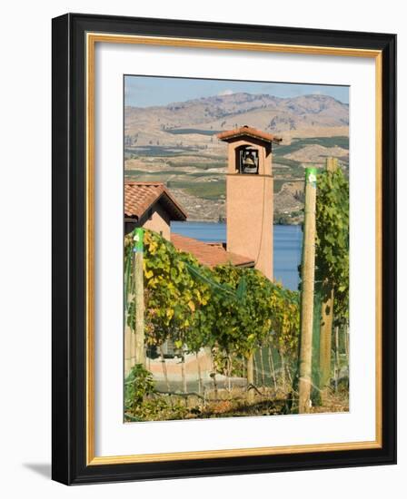 Mountains and Lake Chelan, Columbia Valley Appellation, Washington, USA-Janis Miglavs-Framed Photographic Print