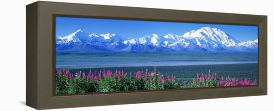 Mountains and Lake Denali National Park Ak USA-null-Framed Stretched Canvas