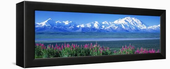 Mountains and Lake Denali National Park Ak USA-null-Framed Stretched Canvas