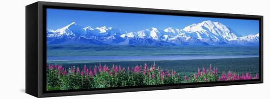 Mountains and Lake Denali National Park Ak USA-null-Framed Stretched Canvas