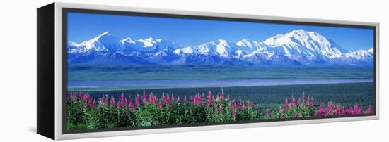 Mountains and Lake Denali National Park Ak USA-null-Framed Stretched Canvas