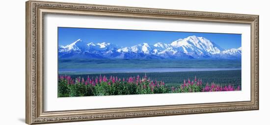 Mountains and Lake Denali National Park Ak USA-null-Framed Photographic Print