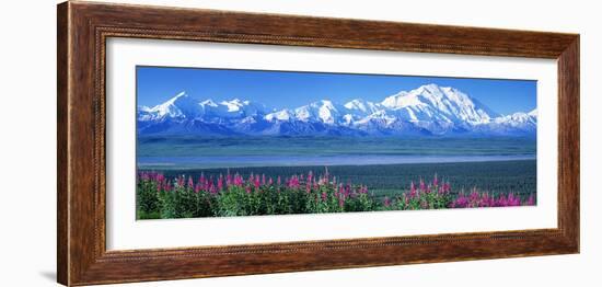 Mountains and Lake Denali National Park Ak USA-null-Framed Photographic Print