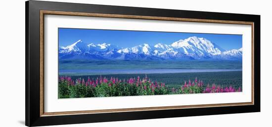 Mountains and Lake Denali National Park Ak USA-null-Framed Photographic Print