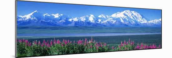 Mountains and Lake Denali National Park Ak USA-null-Mounted Photographic Print