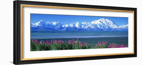 Mountains and Lake Denali National Park Ak USA-null-Framed Photographic Print