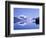 Mountains and Lake McDonald-Steve Terrill-Framed Photographic Print