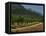 Mountains and Olive Trees, Near Velez Blanco, Almeria, Andalucia, Spain-Michael Busselle-Framed Premier Image Canvas