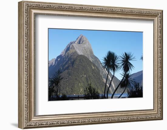 Mountains and Palm Trees along Fjord-Paul Souders-Framed Photographic Print