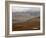 Mountains and Tundra in Fall Color, Denali National Park and Preserve, Alaska, USA-James Hager-Framed Photographic Print