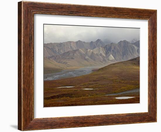Mountains and Tundra in Fall Color, Denali National Park and Preserve, Alaska, USA-James Hager-Framed Photographic Print
