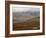 Mountains and Tundra in Fall Color, Denali National Park and Preserve, Alaska, USA-James Hager-Framed Photographic Print