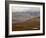 Mountains and Tundra in Fall Color, Denali National Park and Preserve, Alaska, USA-James Hager-Framed Photographic Print