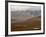 Mountains and Tundra in Fall Color, Denali National Park and Preserve, Alaska, USA-James Hager-Framed Photographic Print