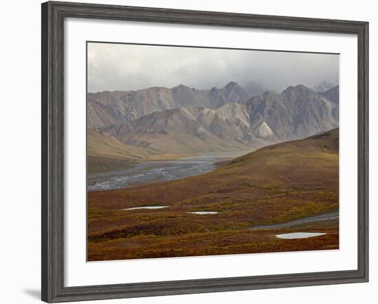 Mountains and Tundra in Fall Color, Denali National Park and Preserve, Alaska, USA-James Hager-Framed Photographic Print