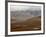 Mountains and Tundra in Fall Color, Denali National Park and Preserve, Alaska, USA-James Hager-Framed Photographic Print