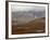 Mountains and Tundra in Fall Color, Denali National Park and Preserve, Alaska, USA-James Hager-Framed Photographic Print