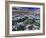 Mountains and Wildflowers, Ouray, San Juan Mountains, Rocky Mountains, Colorado, USA-Rolf Nussbaumer-Framed Photographic Print