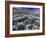 Mountains and Wildflowers, Ouray, San Juan Mountains, Rocky Mountains, Colorado, USA-Rolf Nussbaumer-Framed Photographic Print