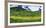 Mountains behind field of wildflowers and aspen trees, Aspen, Colorado, USA-Panoramic Images-Framed Photographic Print