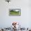 Mountains behind field of wildflowers and aspen trees, Aspen, Colorado, USA-Panoramic Images-Framed Photographic Print displayed on a wall