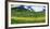 Mountains behind field of wildflowers and aspen trees, Aspen, Colorado, USA-Panoramic Images-Framed Photographic Print