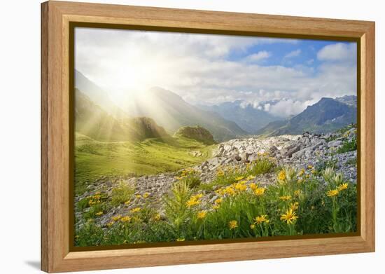 Mountains Landscape in Vorarlberg, Austria-egal-Framed Premier Image Canvas