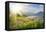 Mountains Landscape in Vorarlberg, Austria-egal-Framed Premier Image Canvas