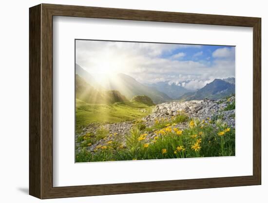 Mountains Landscape in Vorarlberg, Austria-egal-Framed Photographic Print